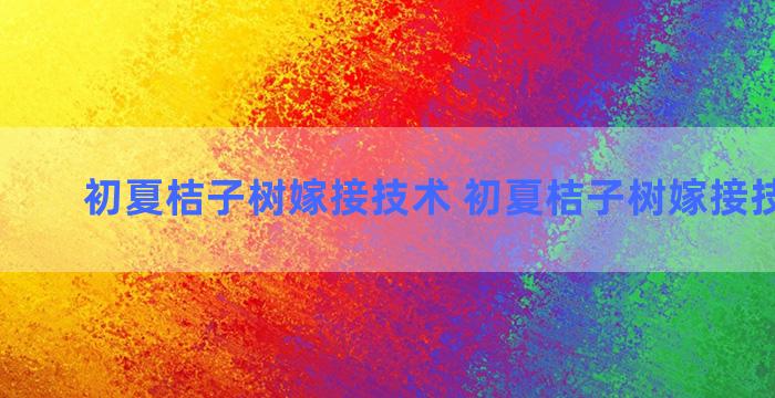 初夏桔子树嫁接技术 初夏桔子树嫁接技术要点